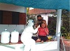 โครงการเฝ้าระวังและค้นหาผู้ติดเชื้อโควิด-19 ในชุมชน ปี 2565...